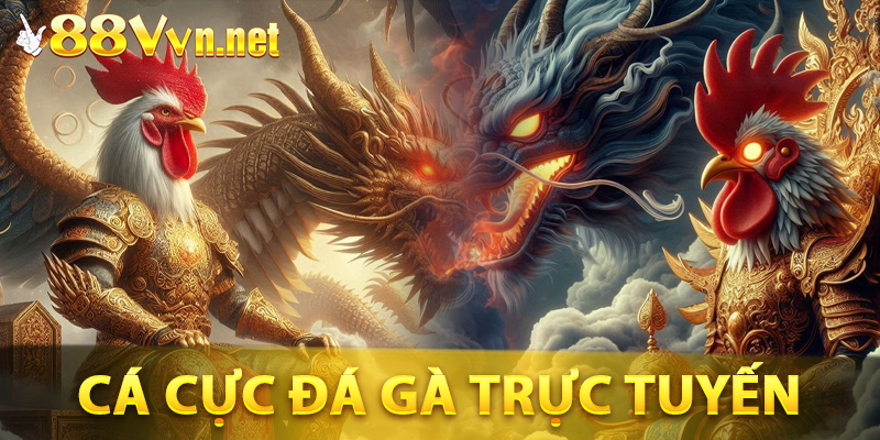 Sự phát triển của nền tảng đá gà trực tuyến